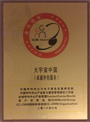 CCM Award -The Best Outsourcing Provider in China
